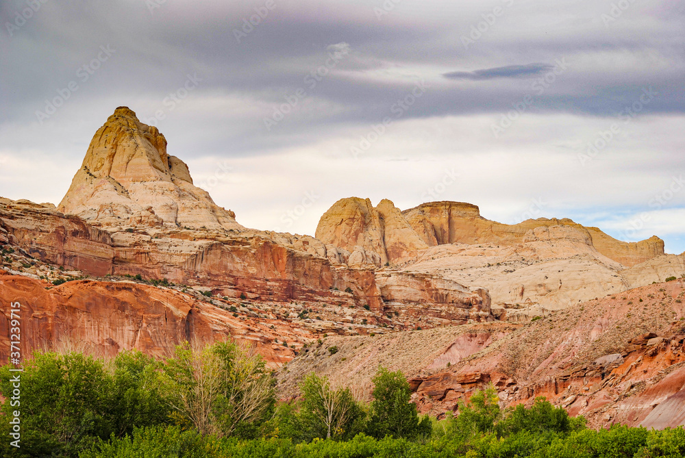 Fototapeta premium Desert Storm