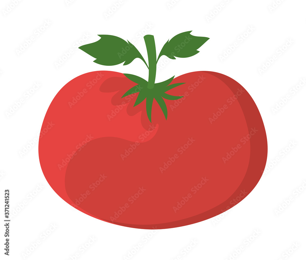 tomato design, Vegetable organic food healthy fresh natural and market theme Vector illustration tomato design, Vegetable organic food healthy fresh natural and market theme Vector illustration