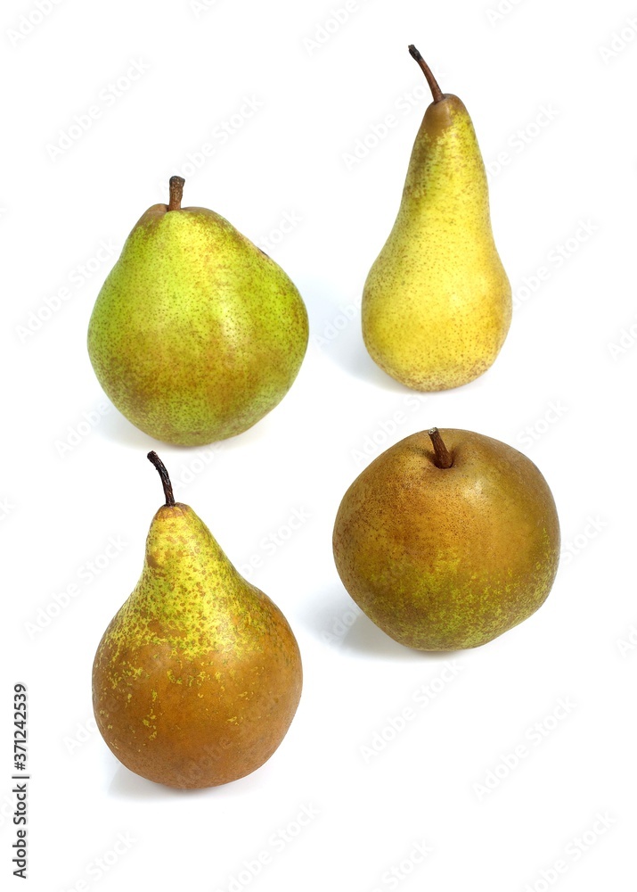 Comice Pear, Williams Pear, Beurre Hardy Pear, Conference Pear, pyrus communis, Fruits against White Background Comice Pear, Williams Pear, Beurre Hardy Pear, Conference Pear, pyrus communis, Fruits against White Background