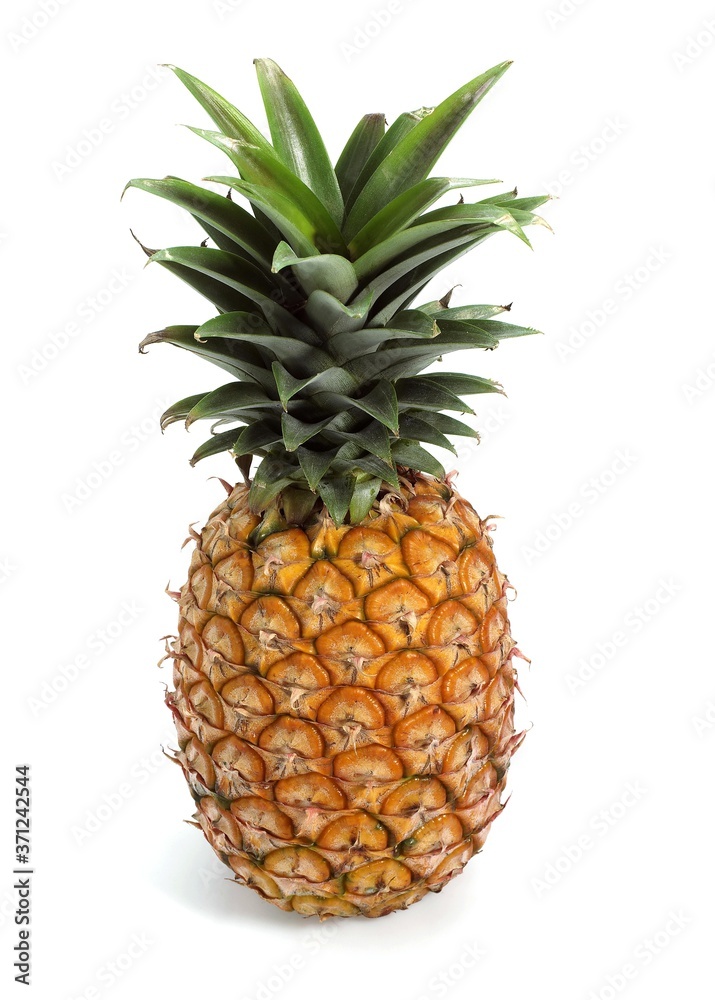 Fototapeta premium Pineapple, ananas comosus, Fruit against White Background