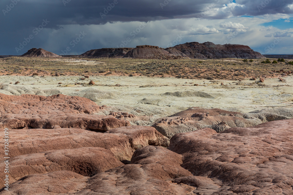 Fototapeta premium Badlands, Petrified Forest National Park, Arizona, USA, America