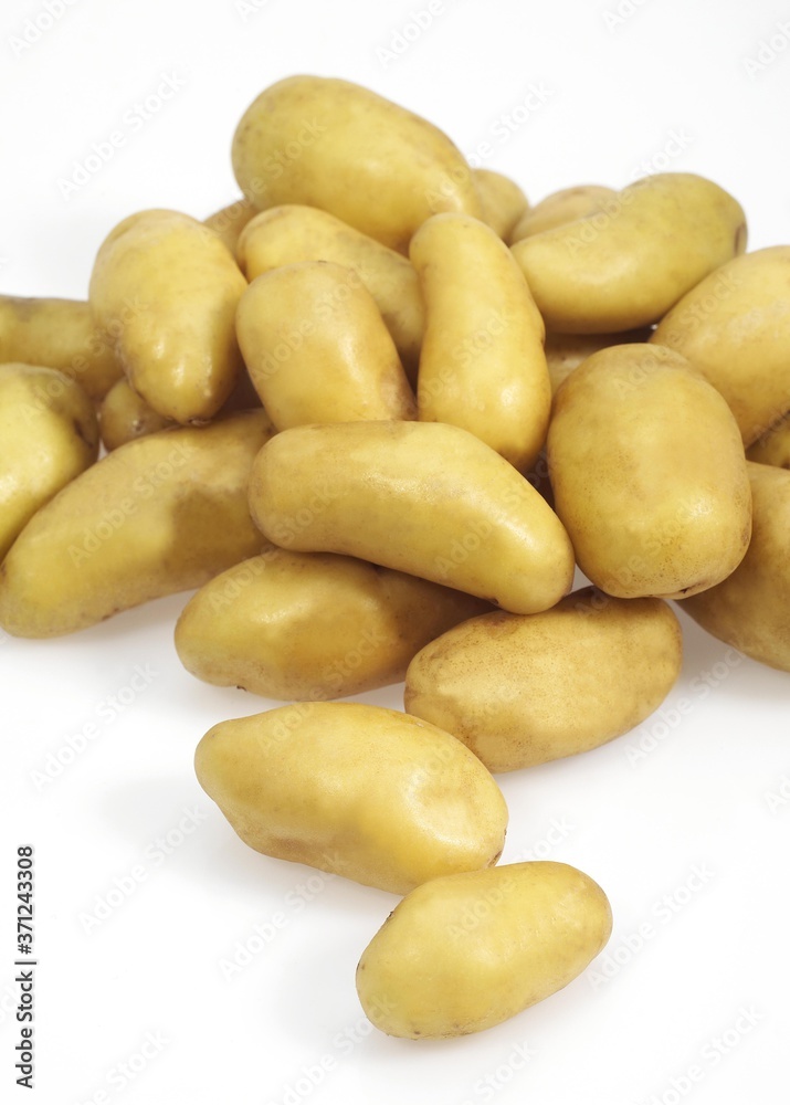 Charlotte Potatoes, solanum tuberosum, Vegetables against White Background Charlotte Potatoes, solanum tuberosum, Vegetables against White Background