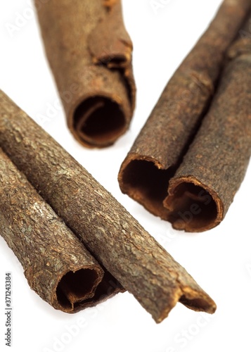 Chinese Cinnamon or Cassia Cinnamon, cinnamomum aromaticum photo