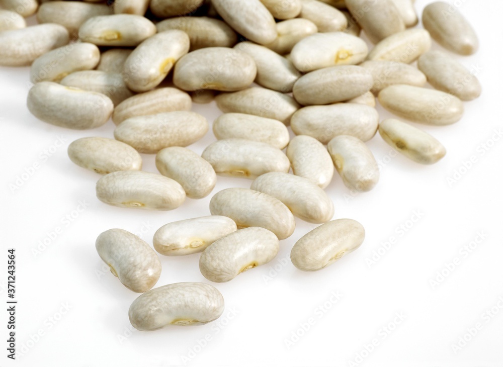 French White Kidney Beans or Mogette From Vendee, phaseolus vulgaris French White Kidney Beans or Mogette From Vendee, phaseolus vulgaris
