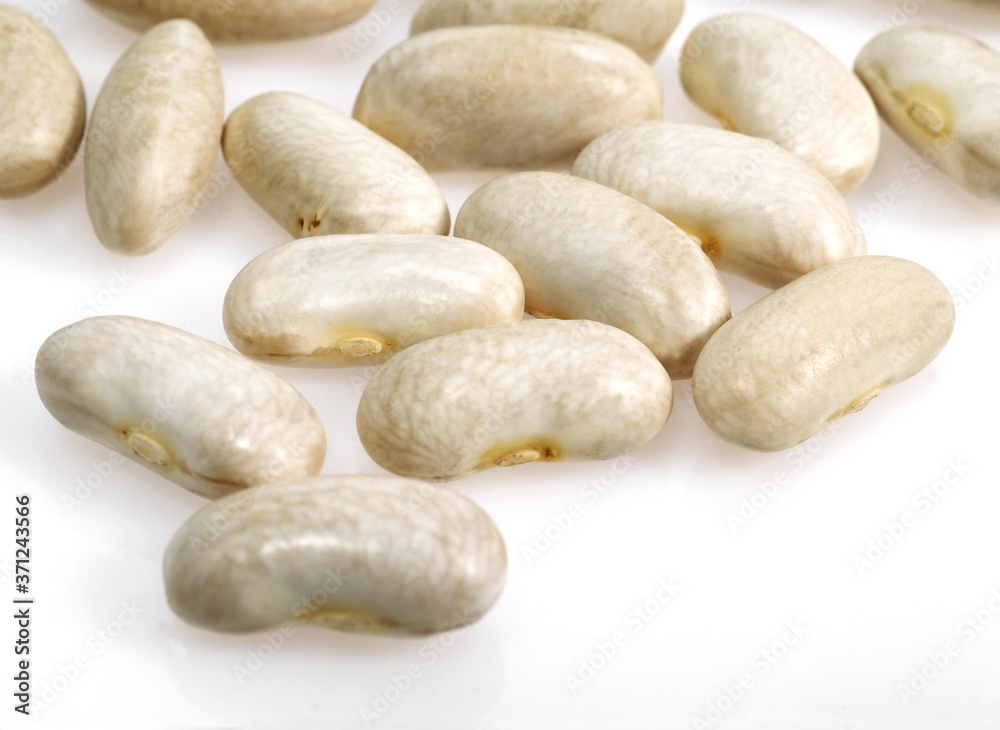 Obraz premium French White Kidney Beans or Mogette From Vendee, phaseolus vulgaris
