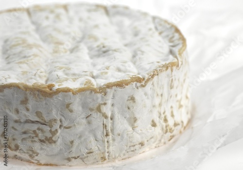 Camembert, French Cheese produced in Normandy from Cow's Milk
