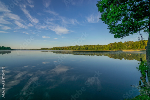 Fototapeta Naklejka Na Ścianę i Meble -  cloud reflections in clear and calm lake water, forest in the background, summer morning