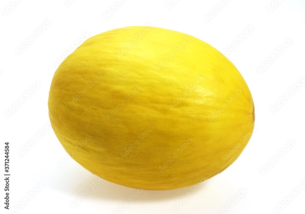Yellow Spanish Melon, cucumis melo, Fruit against White Background Yellow Spanish Melon, cucumis melo, Fruit against White Background