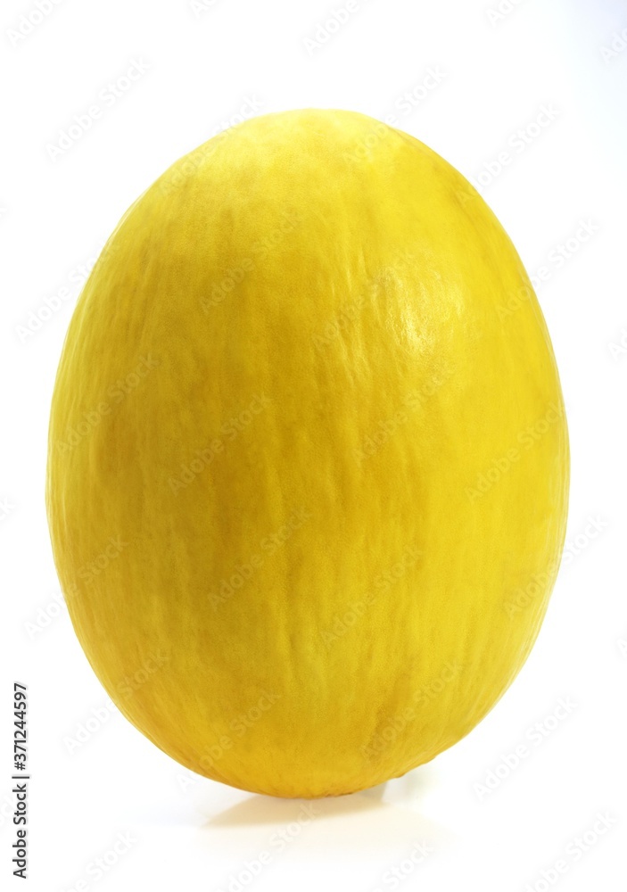 Yellow Spanish Melon, cucumis melo, Fruit against White Background Yellow Spanish Melon, cucumis melo, Fruit against White Background