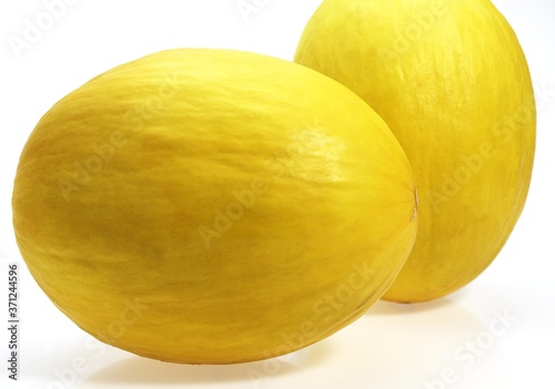 Yellow Spanish Melon, cucumis melo, Fruits against White Background