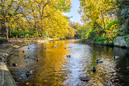 Photography Ducks enjoying a bright autumn day in St Stephen's Green Park, Dublin, Ireland