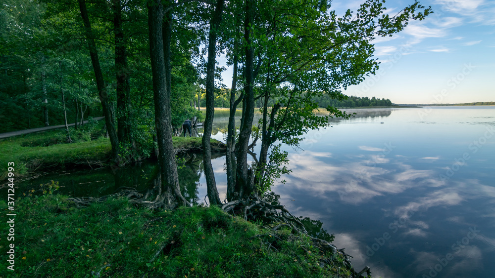 Obraz premium cloud reflections in clear and calm lake water, tree silhouettes in the foreground, summer morning