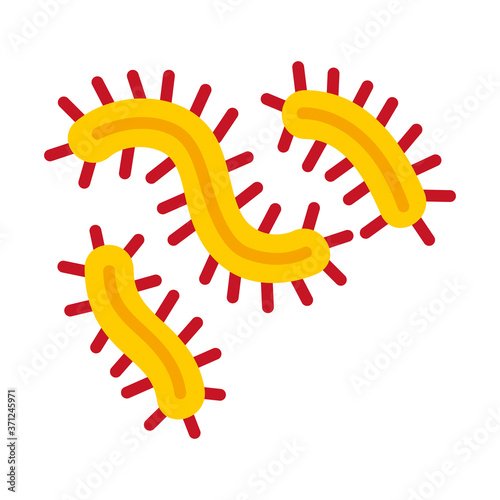 bacillis bacterias shapes icon, flat style