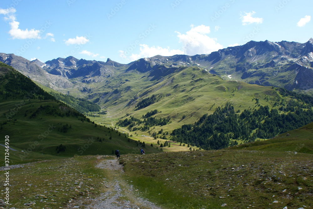 Panoramic view of a green valley in Roburent, Piedmont (Italy)