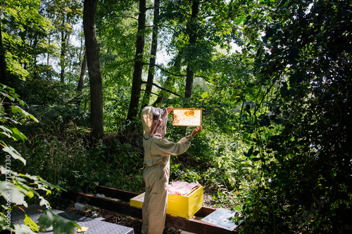 Female beekeeper checking her bee hive for bees and honey. photo