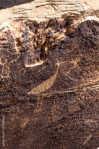 Petroglyphs, Petrified Forest National Park, Arizona, USA, America