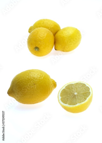 Yellow Lemons, citrus limonum against White Background