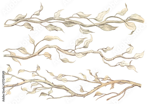 Collection of hand painted watercolor autumn branches with leaves