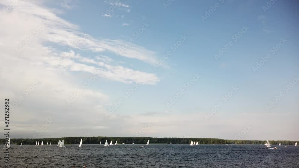Lots of sailing boats in the reservoir Lots of sailing boats in the reservoir