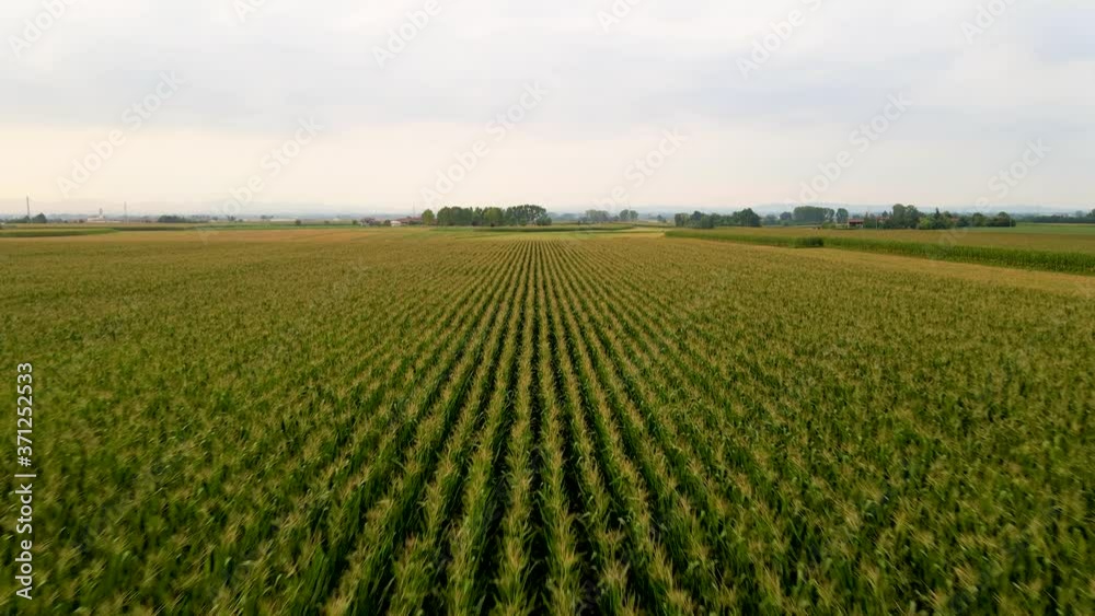 Drone view of fields, Cellarengo, Piemonte, Italy Drone view of fields, Cellarengo, Piemonte, Italy