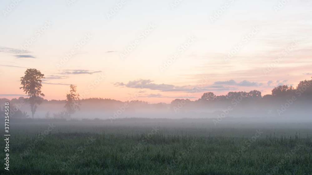 Fototapeta premium Morgennebel im Sonnenaufgang