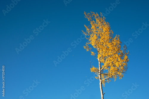Fototapeta Naklejka Na Ścianę i Meble -  Changing of Seasons, Winter Park Colorado
