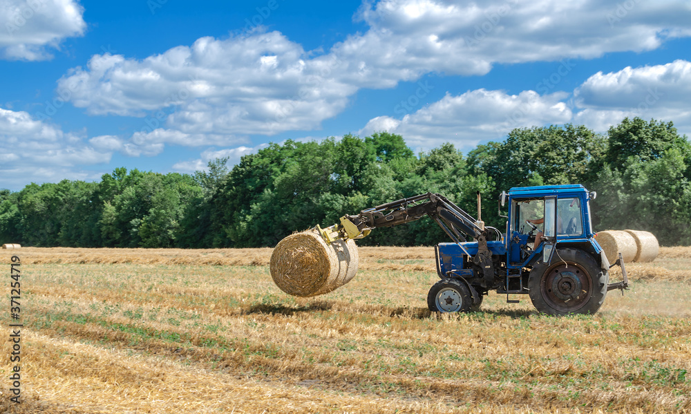 Obraz premium straw in round bales and a tractor in the field