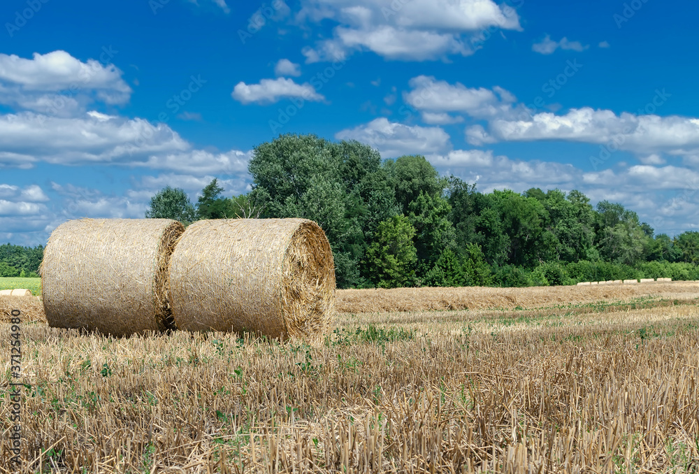 straw in bales, harvesting grain, agricultural work