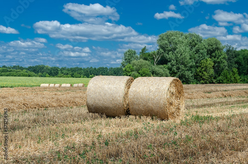 straw in bales, harvesting grain, agricultural work