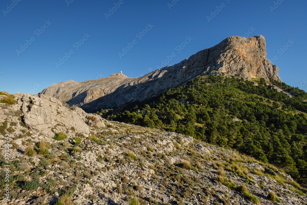 Coll des Card –Colers, Fornalutx, Mallorca, balearic islands, Spain