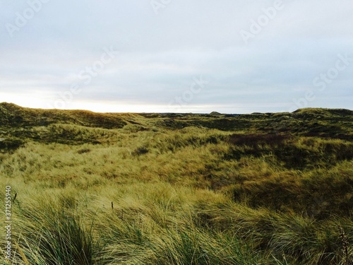 Danish landscape