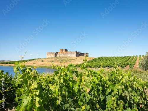 Castle of Valongo, Alentejo, Portugal