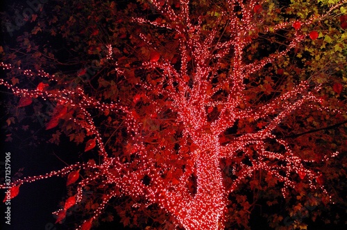 Decorated Tree for Christmas at The Galeries Lafayette on Haussmann Boulevard in Paris