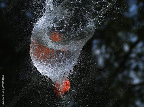 Shot Breaking Water Filled Orange Balloon