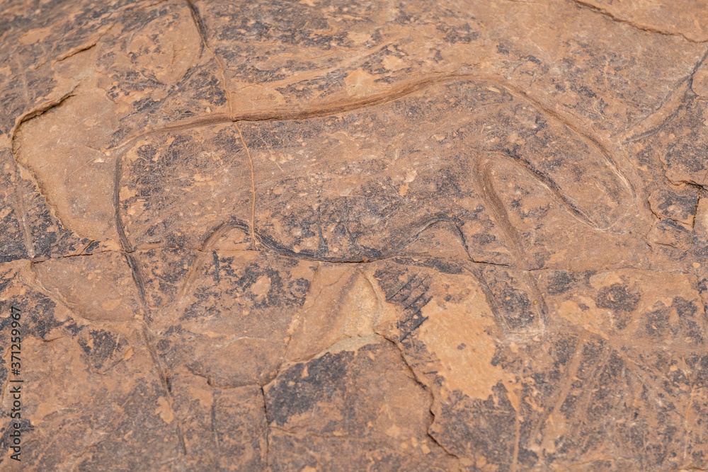 petroglifo de un rinoceronte, yacimiento rupestre de Aït Ouazik, finales del Neolítico, Marruecos, Africa