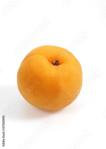 Apricot, prunus armeniaca against White Background