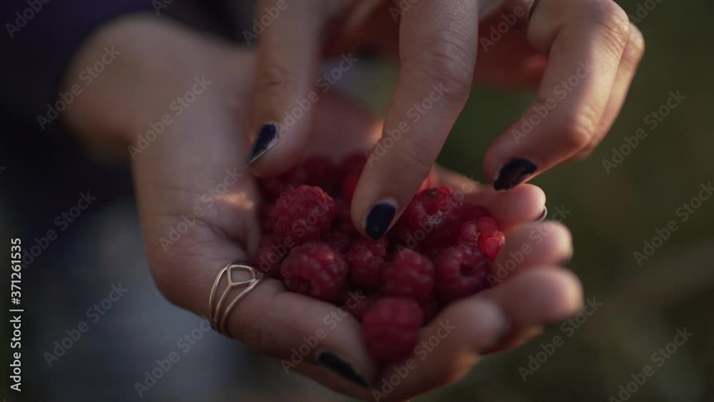 Hand full of fresh raspberry Hand full of fresh raspberry