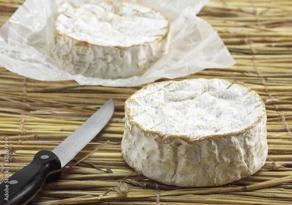 Camembert, French Cheese made in Normandy from Cow's Milk Camembert, French Cheese made in Normandy from Cow's Milk
