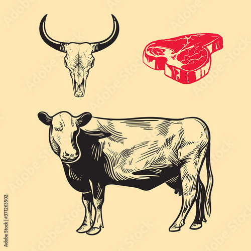 Photography Beef, cow, bull, illustration, retro, vintage, linocut design for restaurants, b