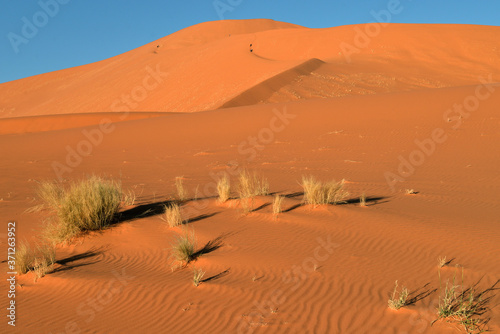 SAND DUNES AND DESERT LANDSCAPE IN TIN MERZOUGA TADRART NATIONAL PARK IN ALGERIA. 