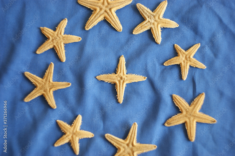 an unusual four-pointed starfish looking like a cross among five-pointed starfish. Leadership, uniqueness, think different, teamwork business success. different concept an unusual four-pointed starfish looking like a cross among five-pointed starfish. Leadership, uniqueness, think different, teamwork business success. different concept