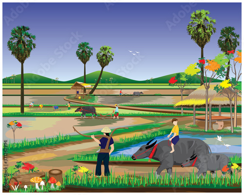farmer work in paddy field,lifestyle of people at countryside vector design