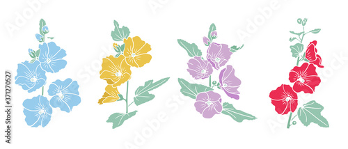 Set of hand drawn mallow flowers illustration in graphic style