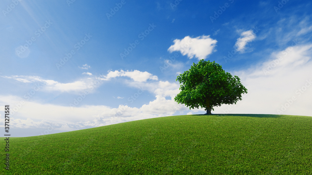 Obraz premium High resolution. A tree standing alone in a lawn. 3d rendering