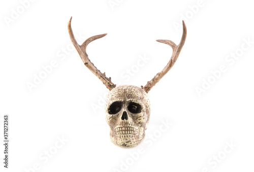 human skull with horns isolated on white background