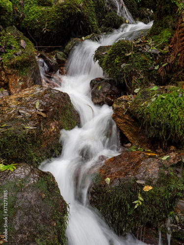 parque natural Fragas del Eume     provincia de La Coru  a  Galicia  Spain