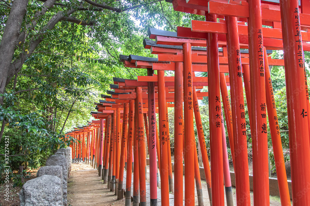 Series of red doors or torii in a japanese temple or shrine