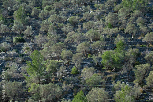 Rotes de Caimari  municipality of Selva  Well of Cultural Interest  Mallorca  Balearic Islands  Spain