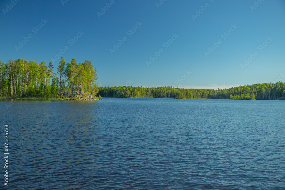 a reservoir surrounded by a pine forest