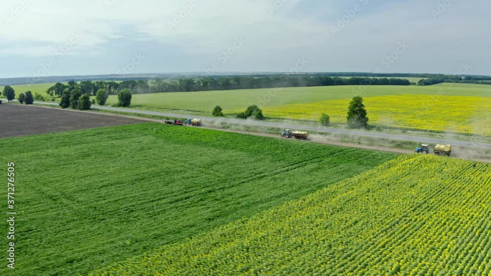 Aerial shot of Tractors in the field are carrying the crop for unloading. Harvesting in the village. Aerial shot of Tractors in the field are carrying the crop for unloading. Harvesting in the village.